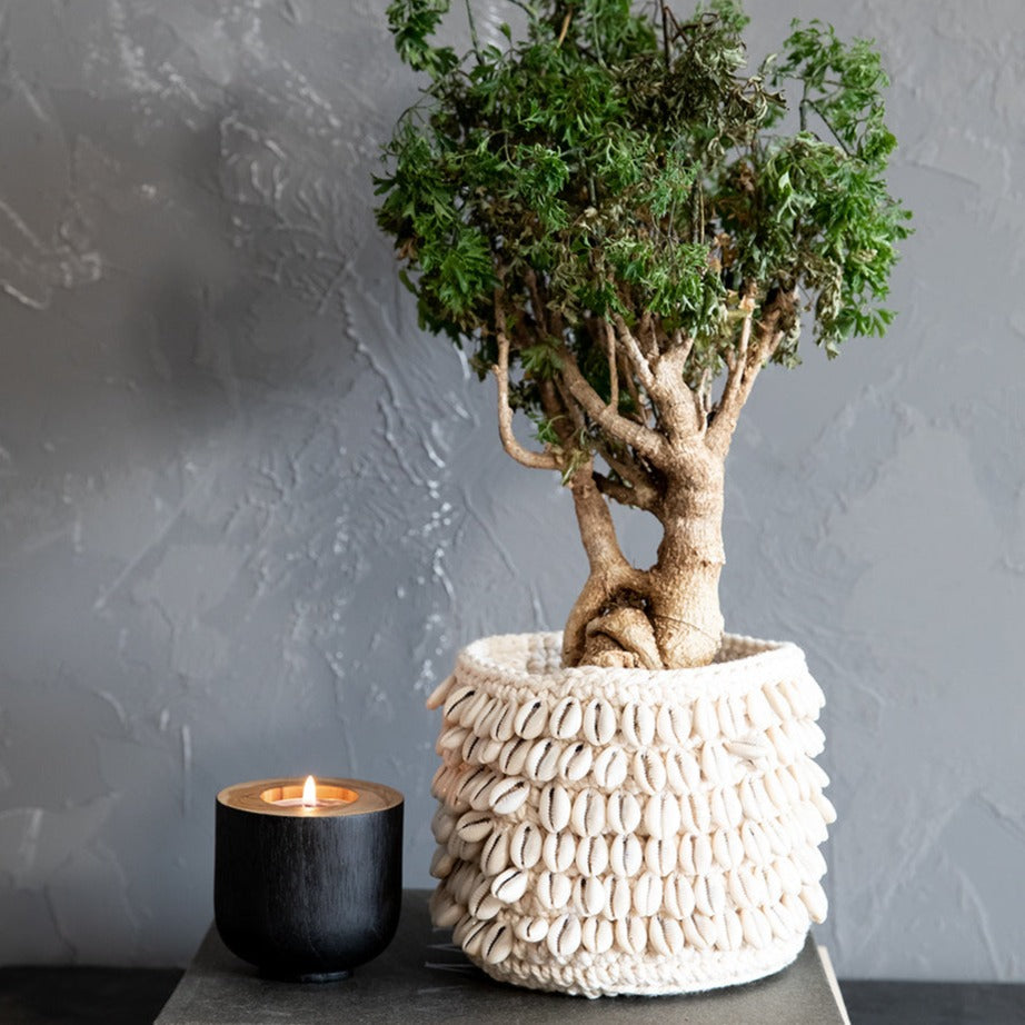 THE COWRIE MACRAME Planter interior view with plant