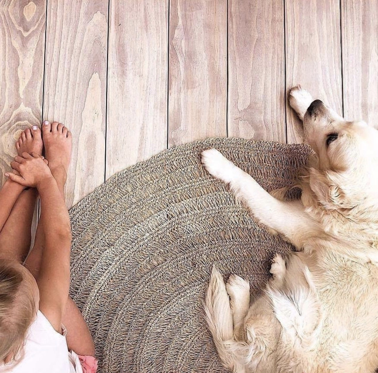 THE SEAGRASS Carpet 150 Natural interior view with dog