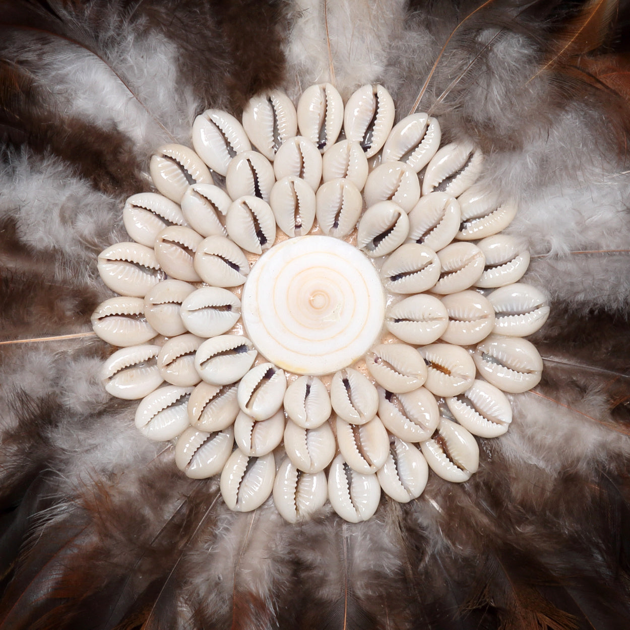 THE COASTAL JUJU On Stand-Black-Brown-Small macro view