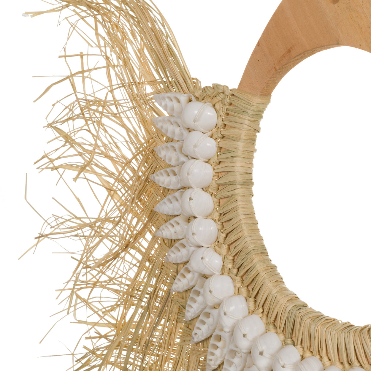 THE LITTLE BAY side macro view