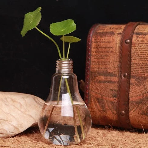 Vase pour fleurs hydroponiques en verre transparent avec ampoule électrique