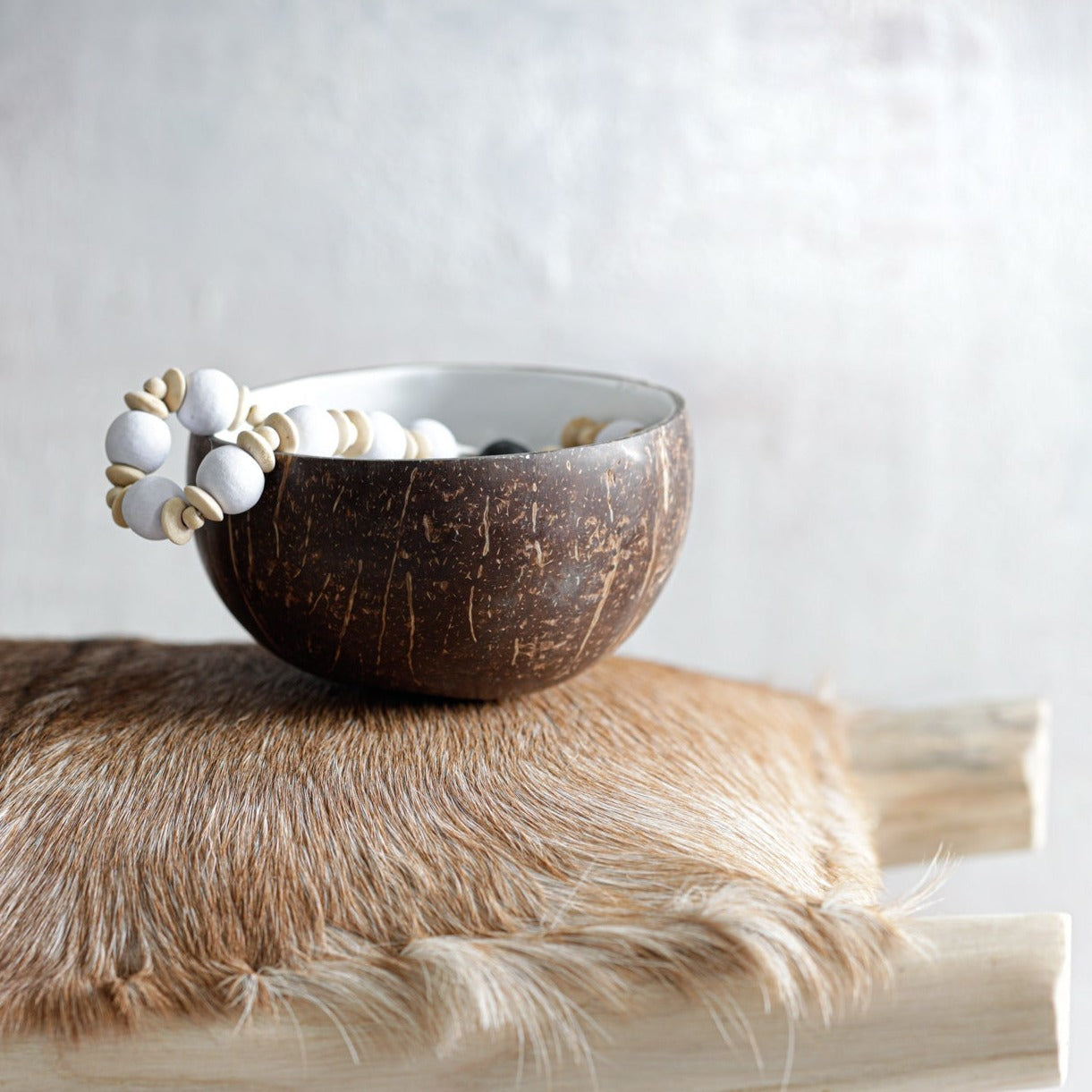 THE COCO Food Bowl interior side view