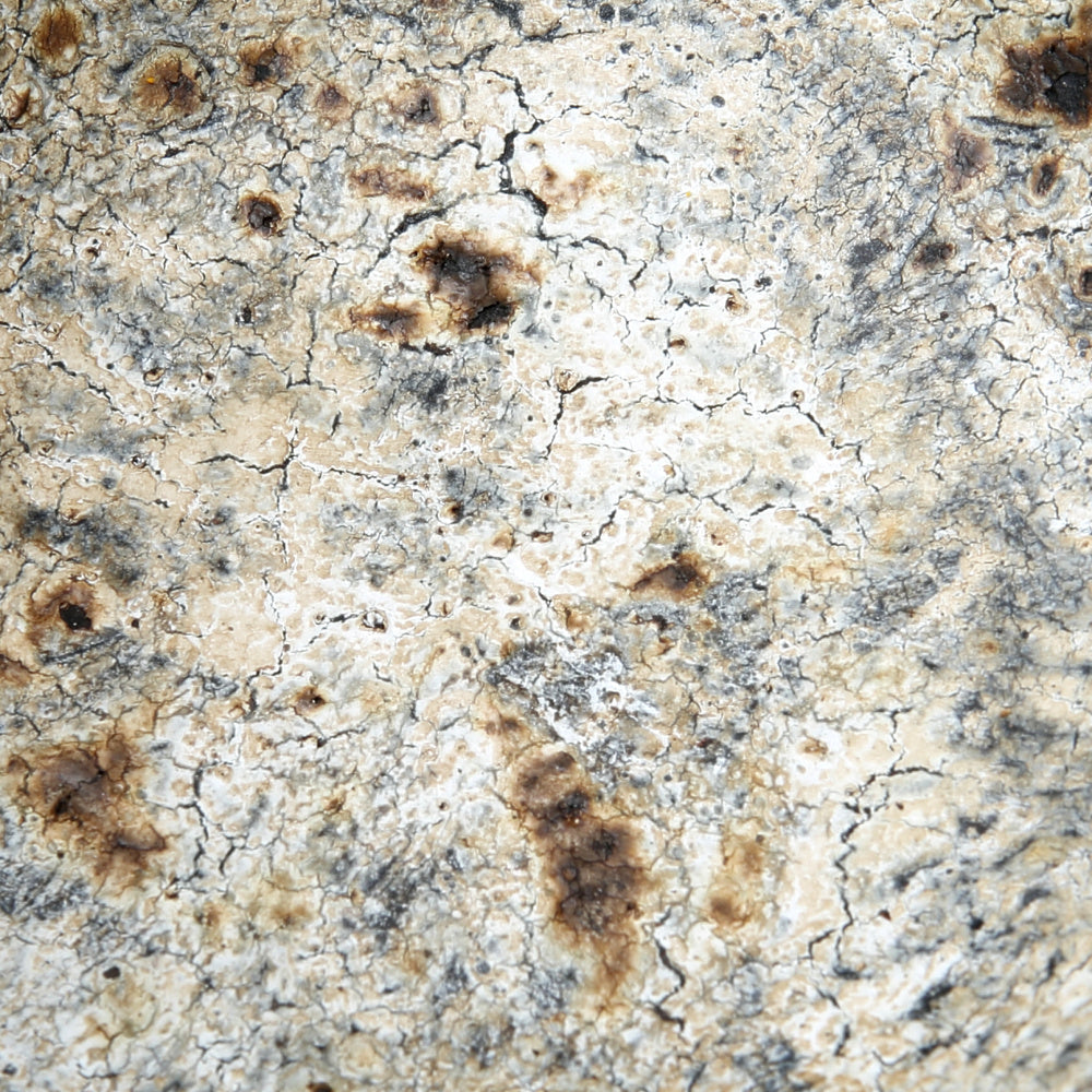 THE BURNED CURVED Bowls macrop view of surface