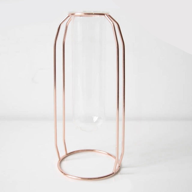 Vase hydroponique avec support en fer pour la décoration intérieure