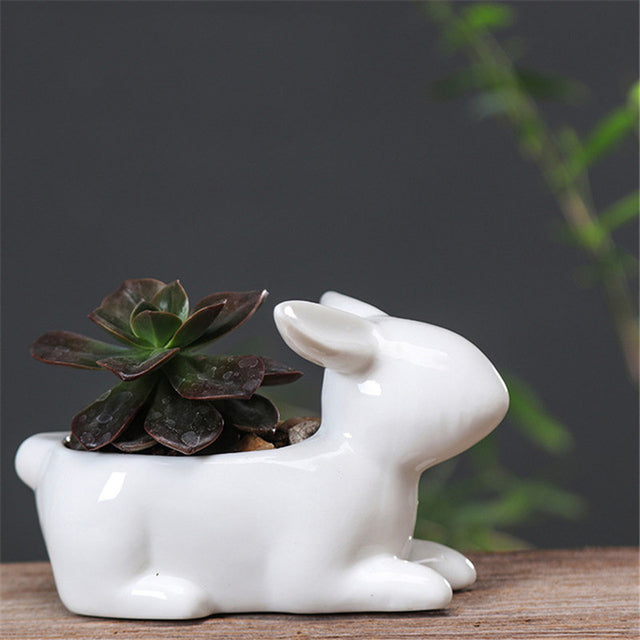 Pot de fleurs en forme de lapin pour succulentes
