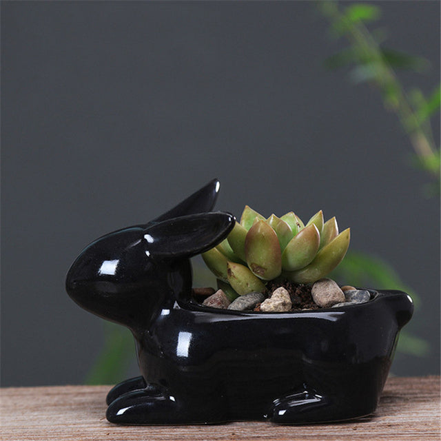 Pot de fleurs en forme de lapin pour succulentes