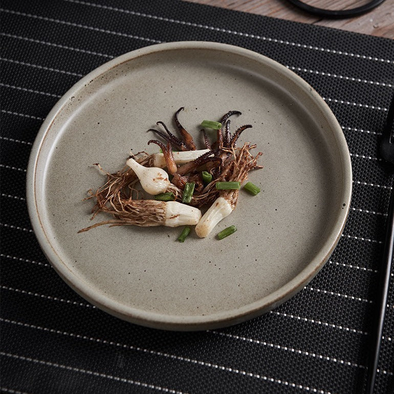 Assiette en poterie grossière rétro à la simplicité japonaise