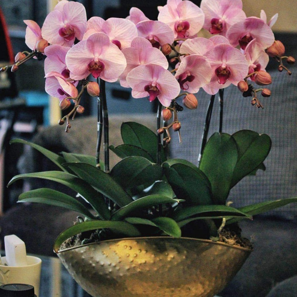 Pot de fleur en fer doré fait à la main