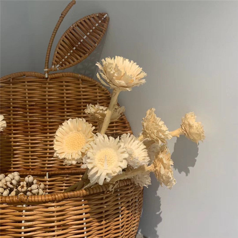 Panier de Rangement Vintage en Rotin en Forme de Pomme et de Poire