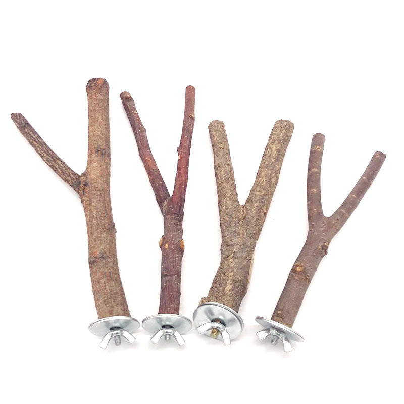 Branche d'arbre perroquet en bois naturel