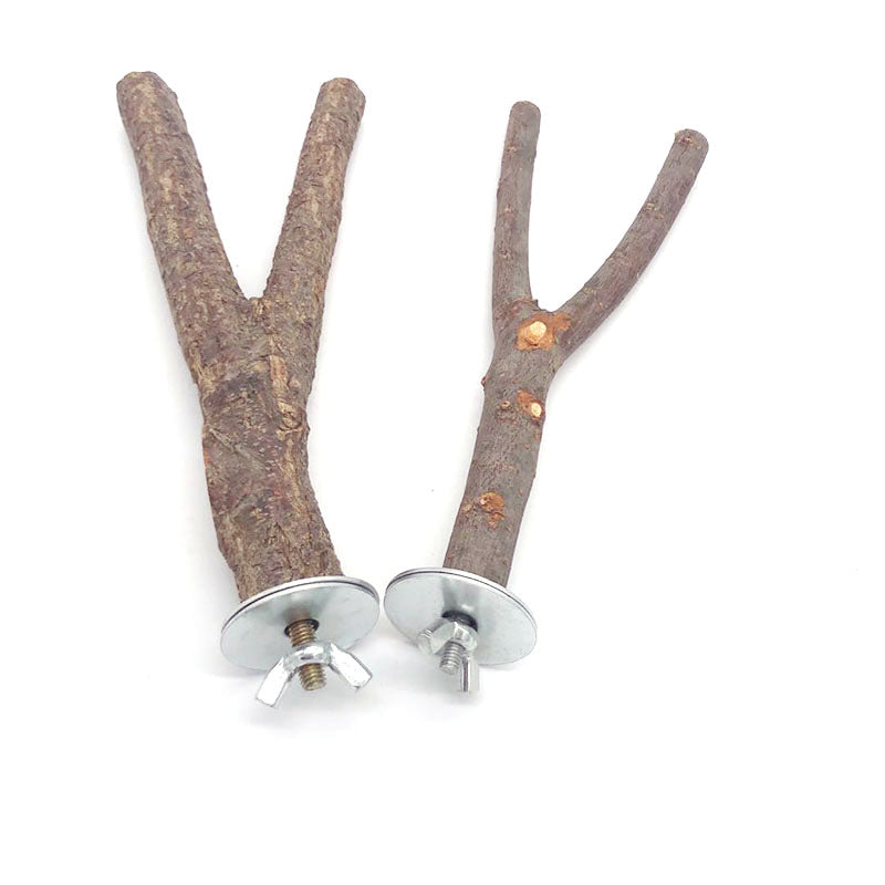 Branche d'arbre perroquet en bois naturel