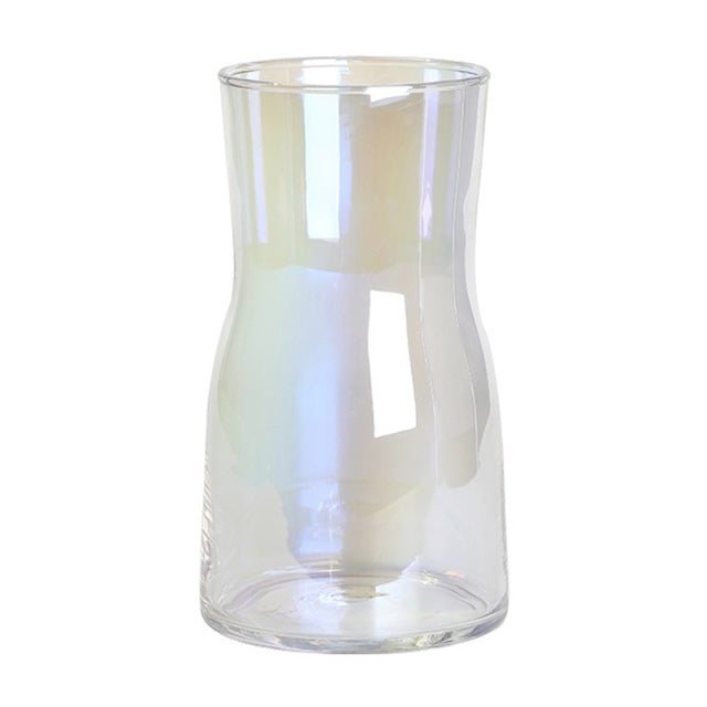 Vase en verre élégant pour fleurs séchées