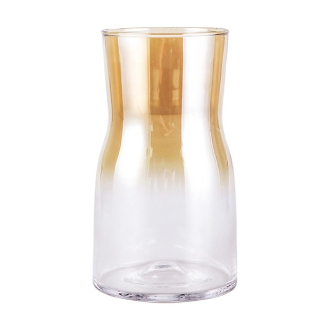 Vase en verre élégant pour fleurs séchées