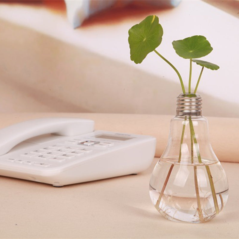Vase pour fleurs hydroponiques en verre transparent avec ampoule électrique