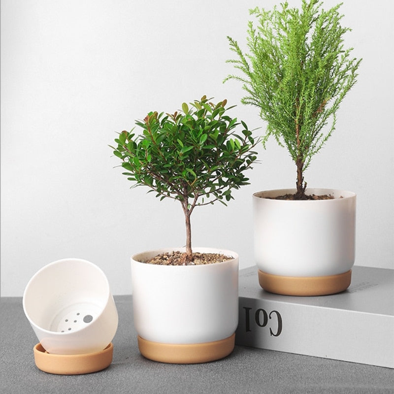 Petits pots de fleurs blancs mignons