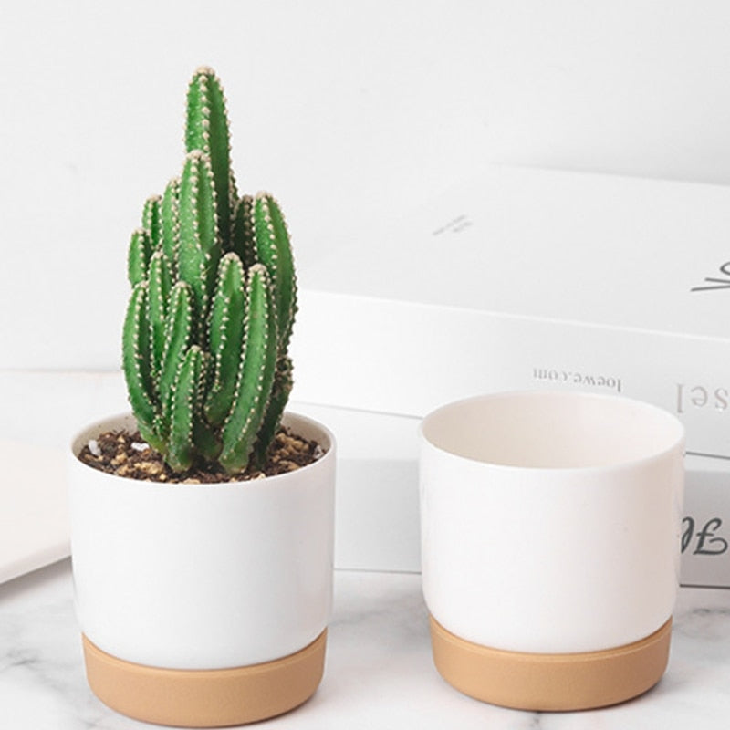 Petits pots de fleurs blancs mignons