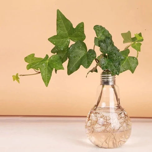 Vase pour fleurs hydroponiques en verre transparent avec ampoule électrique