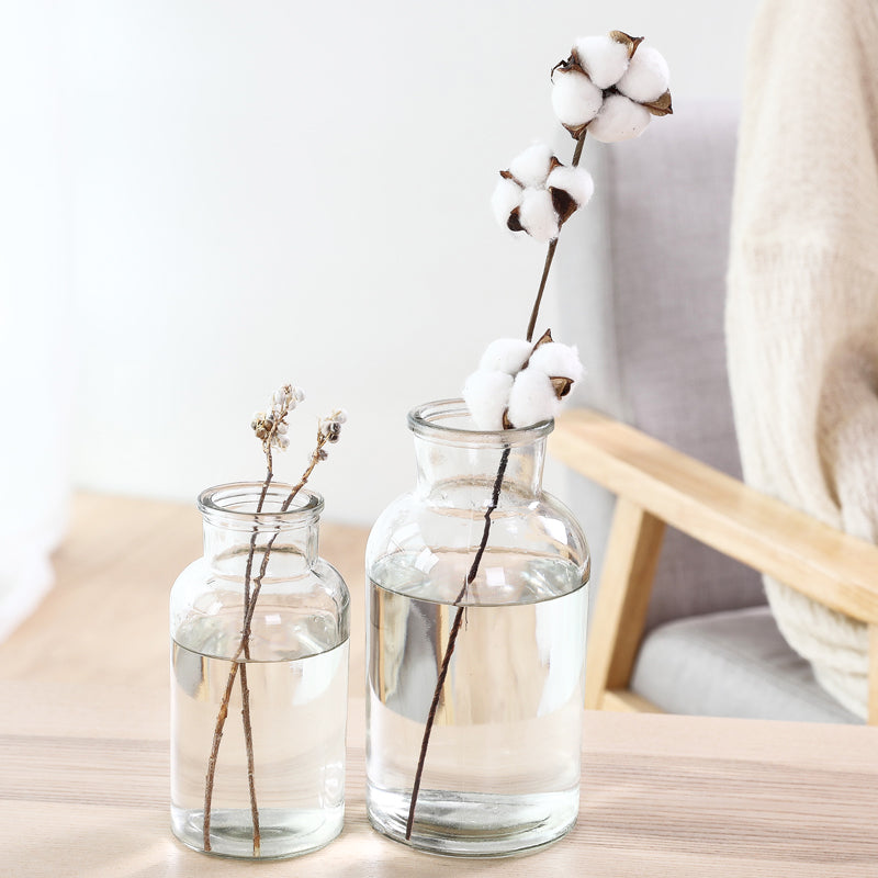 Petit vase en verre hydroponique pour fleurs séchées