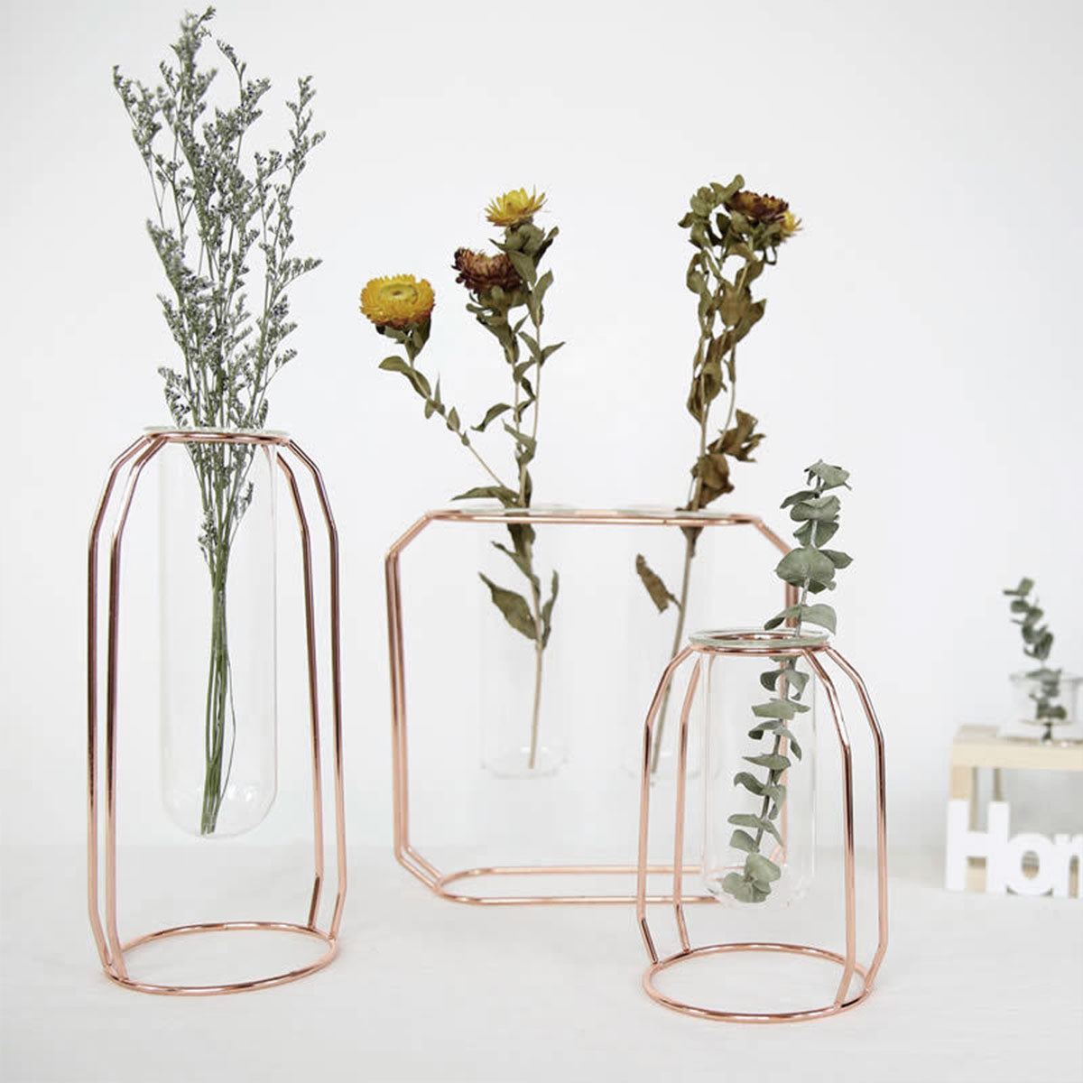 Vase hydroponique avec support en fer pour la décoration intérieure