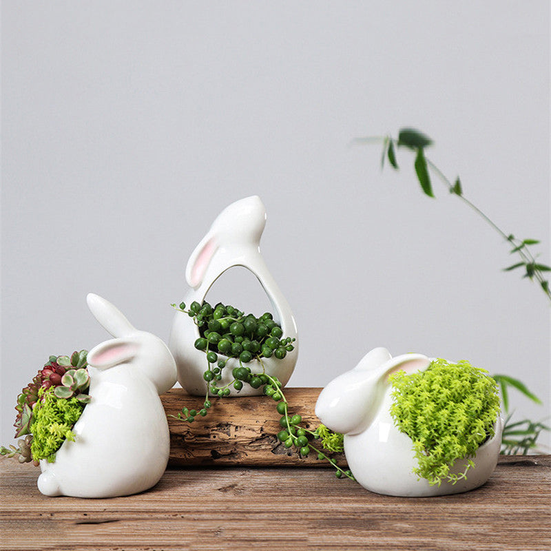 Pot de fleurs en forme de lapin pour succulentes