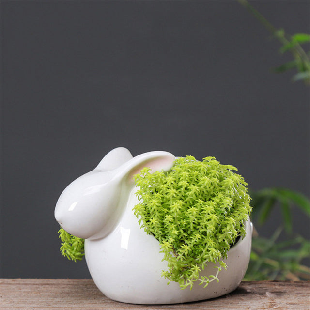 Pot de fleurs en forme de lapin pour succulentes