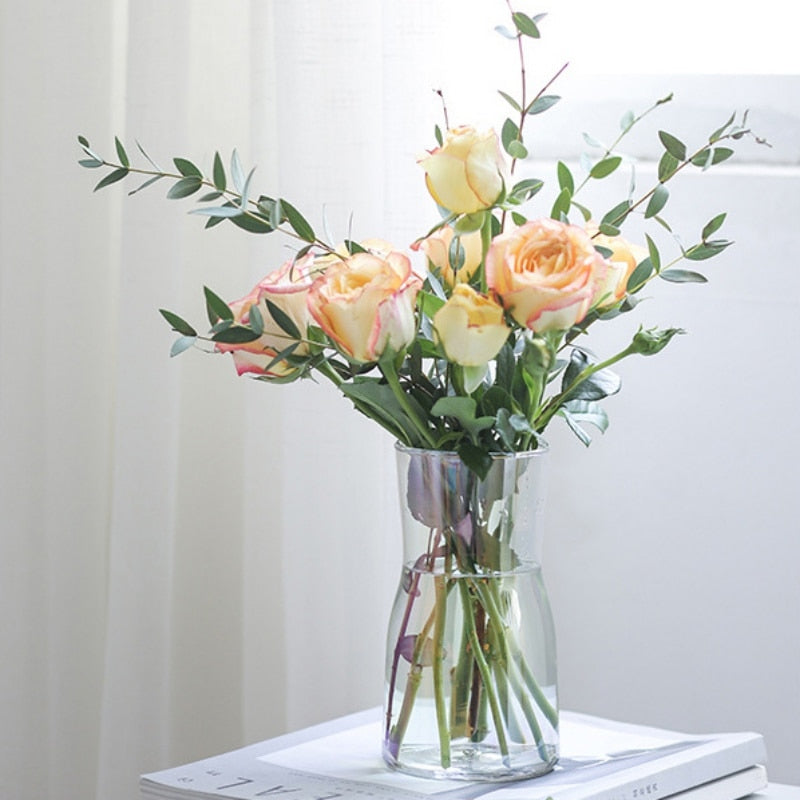 Vase en verre élégant pour fleurs séchées